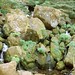 Debra Watson Photo 11