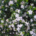 Heather Linville Photo 29