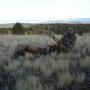 Cody Scott Photo 27