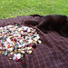 Thomas Button Photo 5