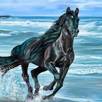 Julie Bourke Photo 9