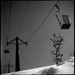 Robert Proctor Photo 43