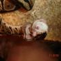 Thomas Mccloskey Photo 29