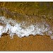 Sandy Whiting Photo 12