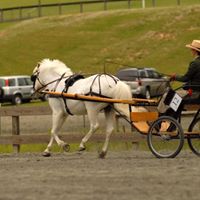 Deborah Franks Photo 19