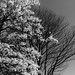 Marcia Winter Photo 16