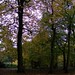 Bradford Hunter Photo 19