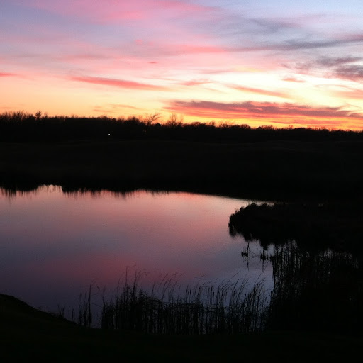 Stephen Norton Photo 8