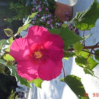 Berta Robles Photo 1