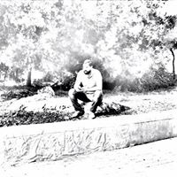 Hassan Zeitoun Photo 7