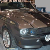 Timothy Wolf Photo 36