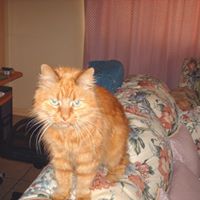 Janice Travers Photo 9