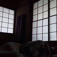 Jerome Schmitt Photo 18