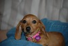 Deborah Gray Photo 34