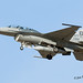 David Eichhorn Photo 15