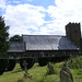 Mary Brammer Photo 12