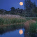 Charles Godwin Photo 24