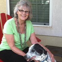 Christine Mayes Photo 15