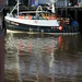 Lee Fish Photo 16