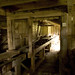Dorothy Mills Photo 19