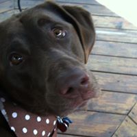 Cindy Krueger Photo 27