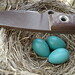 Robin Busse Photo 1