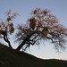 Lisa Mounts Photo 18