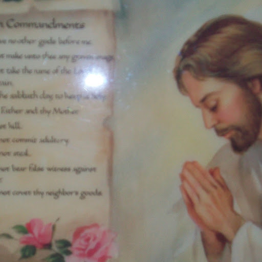 Ladonna Cook Photo 31