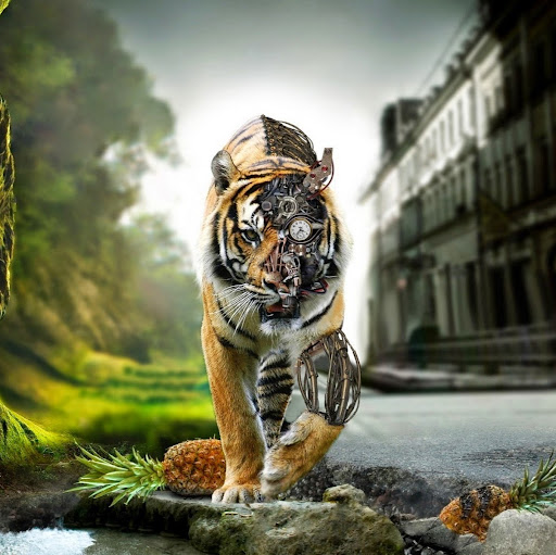 Mohammed Sabir Photo 21