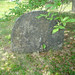 Jane Latham Photo 13