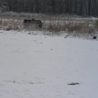 Liz Hopson Photo 4