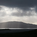 Ray Harris Photo 41