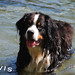 Kathryn Kirkland Photo 7
