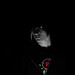 Stephen Low Photo 9