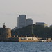 Alfred Denison Photo 7