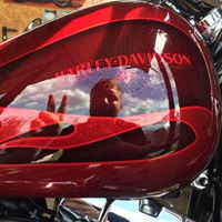 Steven Witt Photo 41