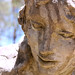 Norman Bush Photo 15