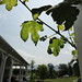 Annette Boyd Photo 37