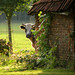 Jeanne Staats Photo 8