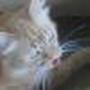 Jill Sears Photo 36