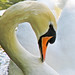 Stephen Fox Photo 28