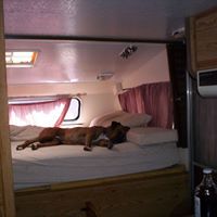Debbie Lovelace Photo 21