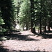 Heather Walden Photo 40
