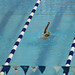 Abby Sanders Photo 22