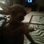 Jessica Bybee Photo 17
