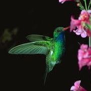 Joyce Blanchard Photo 24