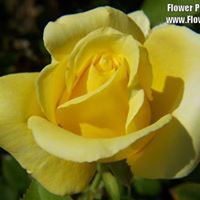 Sharon Seales Photo 9