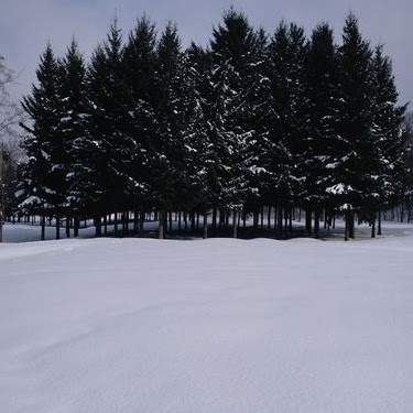 Gilbert Johnson Photo 32