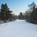 Shirley Hill Photo 10