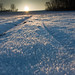 Christian Guenther Photo 17
